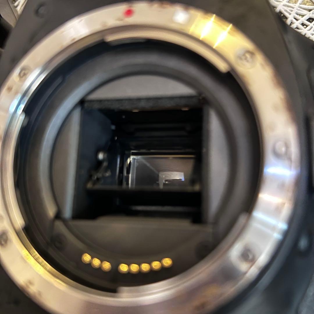 Canon EOS kiss X5デジタル一眼レフカメラ 本体ジャンク