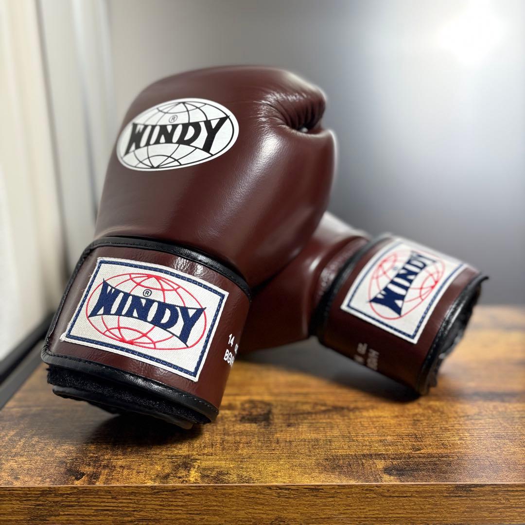 WINDY ボクシンググローブ ブラウン