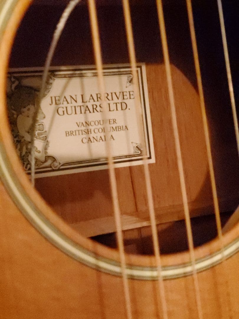 Larrivée パーラー o-01 shadow nano mag付