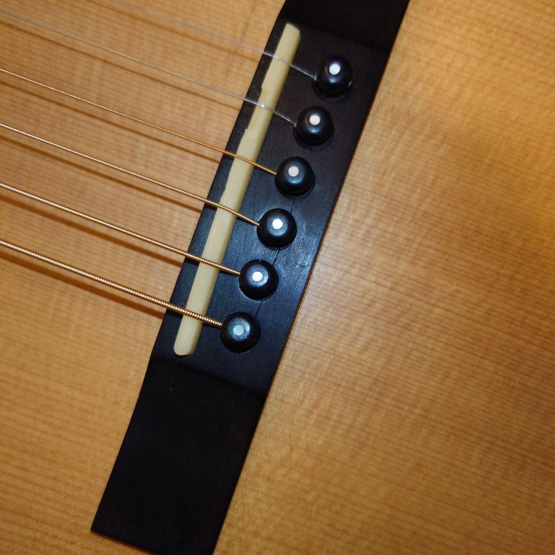 Larrivée パーラー o-01 shadow nano mag付