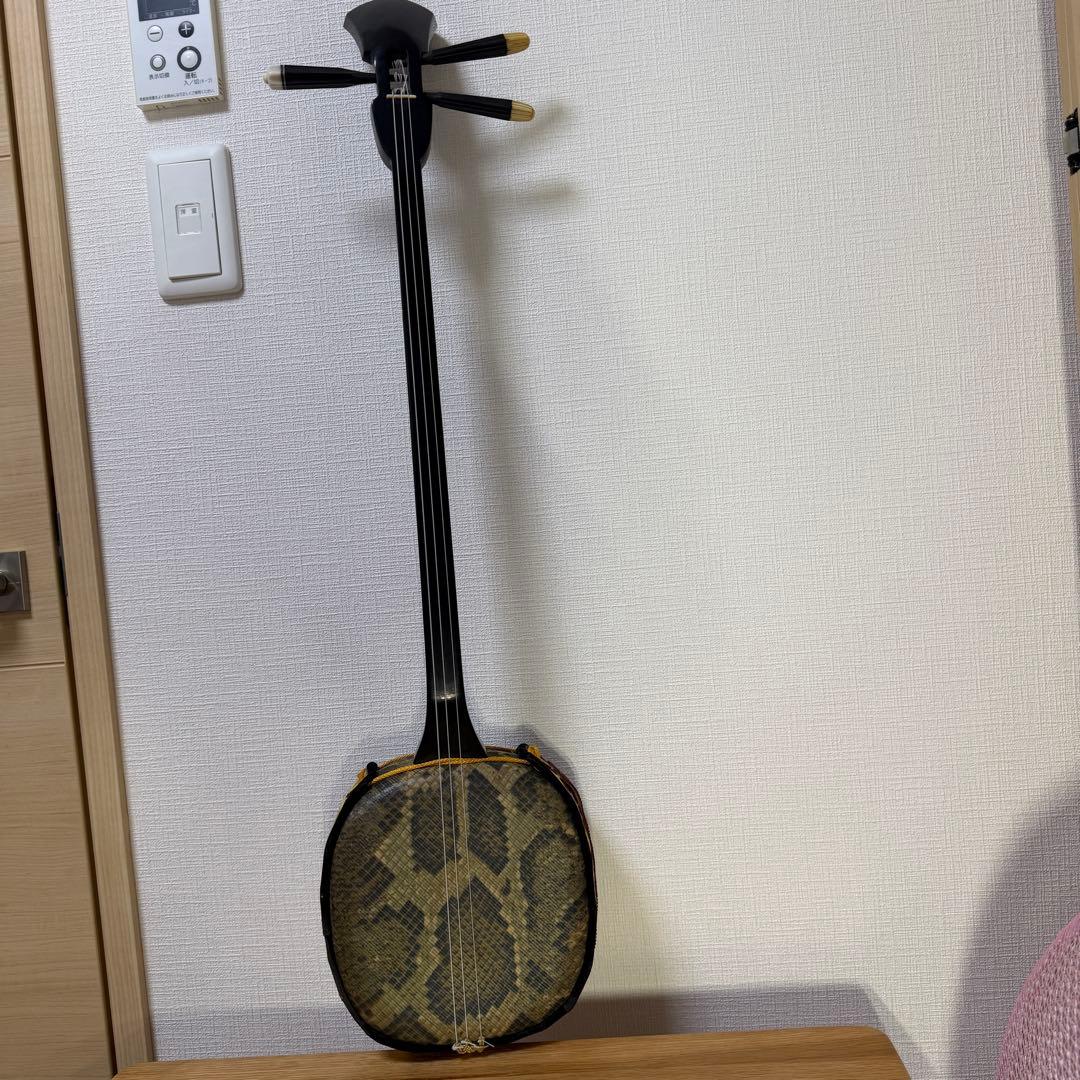 沖縄三線 人工皮 蛇柄 初心者向け 練習用 黒塗り棹