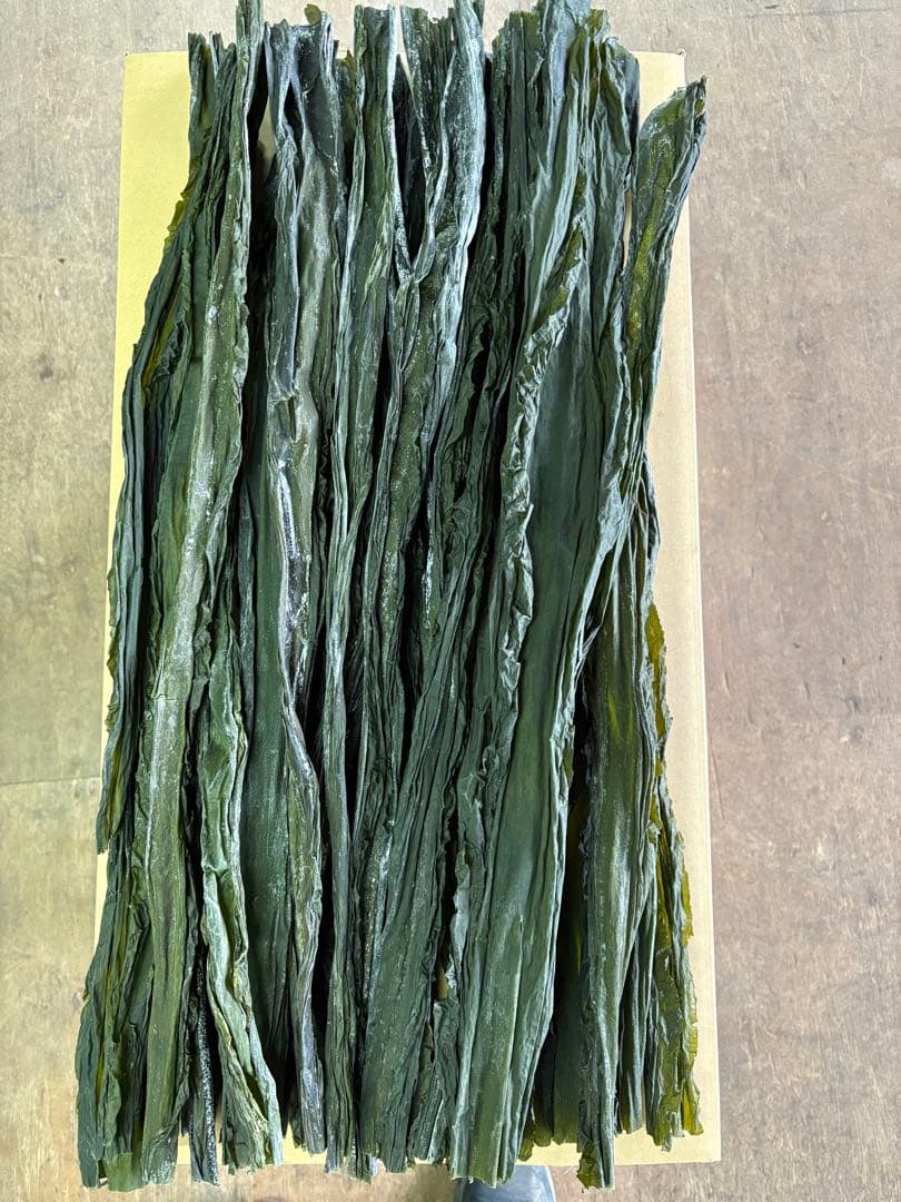 北海道産！やわらか早煮昆布70cm 5kg