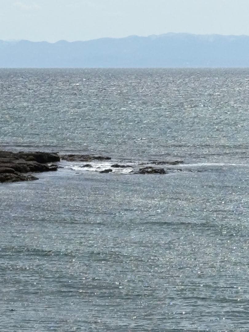 北海道産！やわらか早煮昆布70cm 5kg