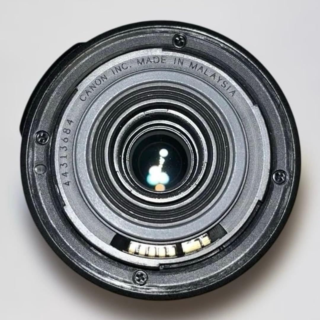 Canon キヤノン EF-S55-250mm F4-5.6 IS フード付き