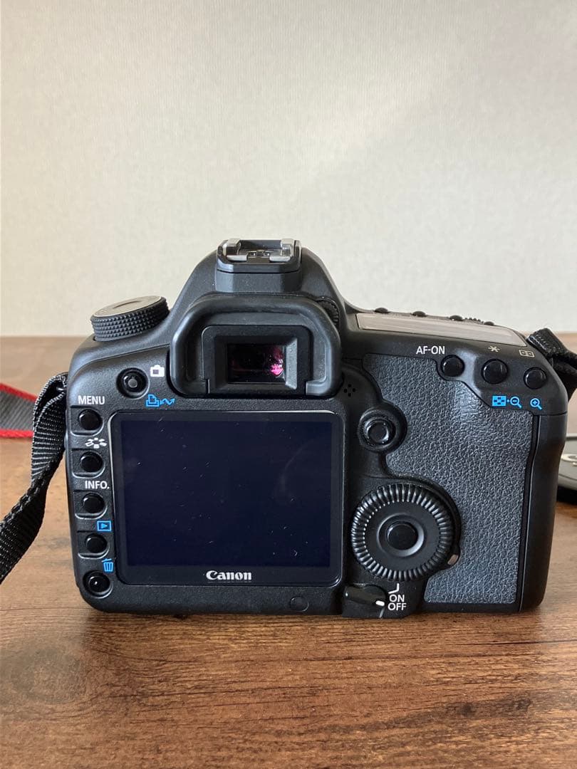 Canon 5D Mark2 カメラ　24-105mm レンズ　SDカード付き