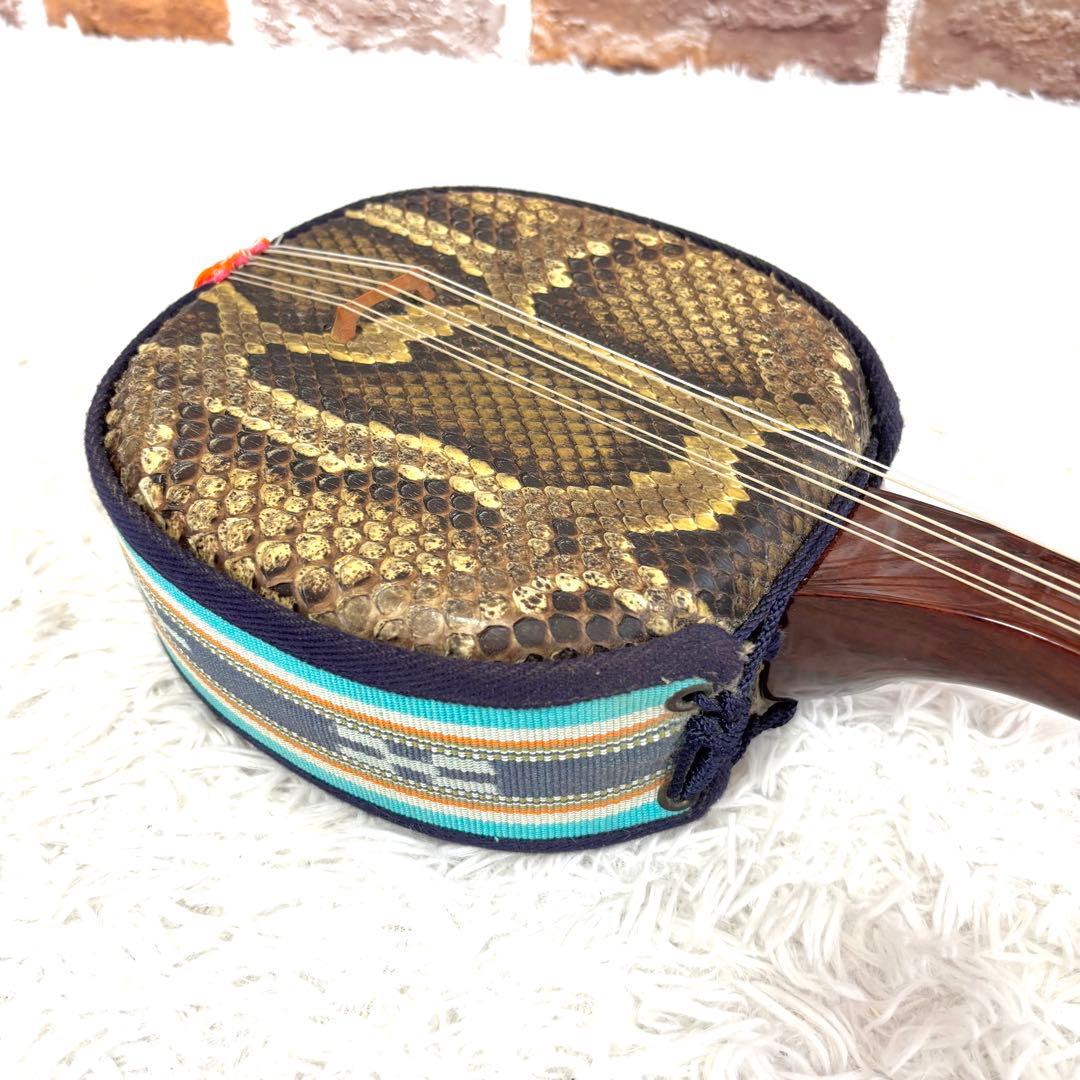 希少6弦✨美品✨沖縄 六線三線 本蛇皮 三味線 ハードケース 演奏可能