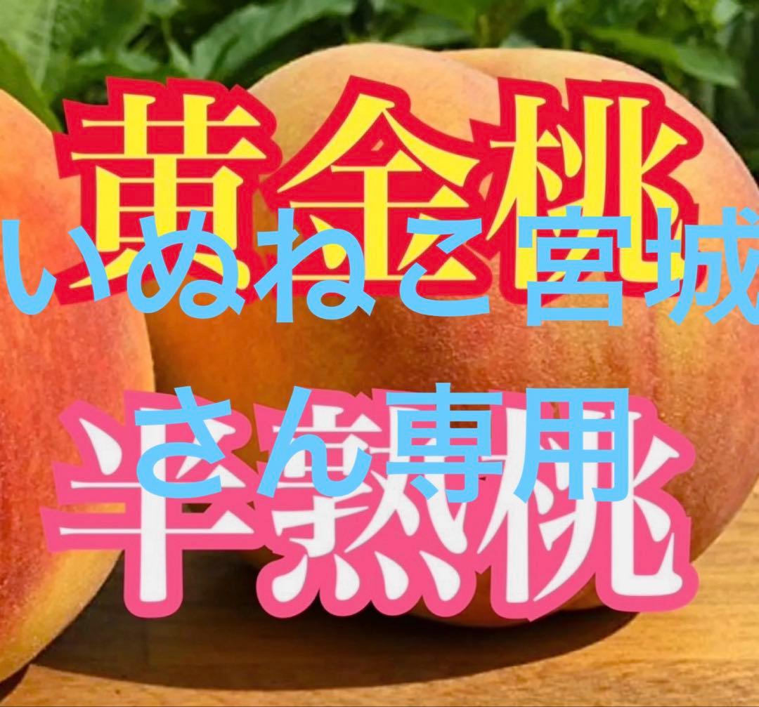 送料無料‼︎黄金桃✖️半熟桃mix 各3kg以上