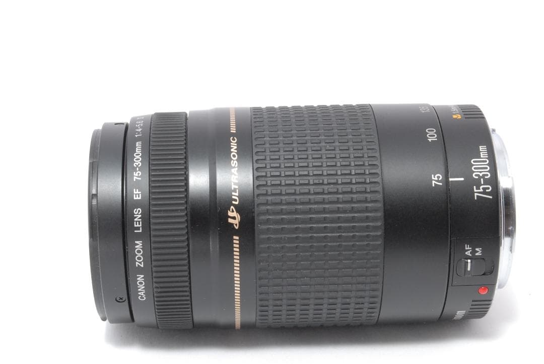 遠くもバッチリ⭐️超望遠レンズ⭐️Canon EF75-300 Ⅱ USM⭐️