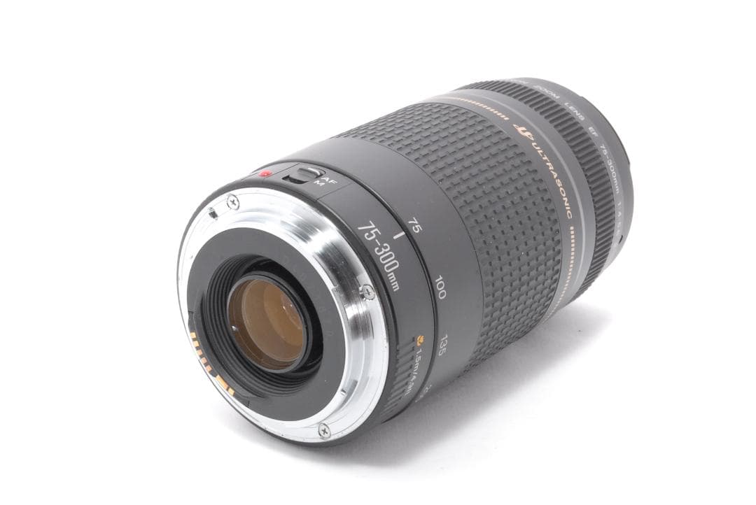 遠くもバッチリ⭐️超望遠レンズ⭐️Canon EF75-300 Ⅱ USM⭐️