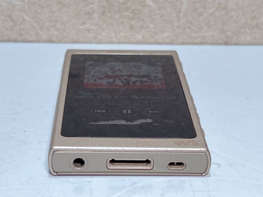 ウォークマン NW-A45シリーズ デジタルオーディオプレーヤー