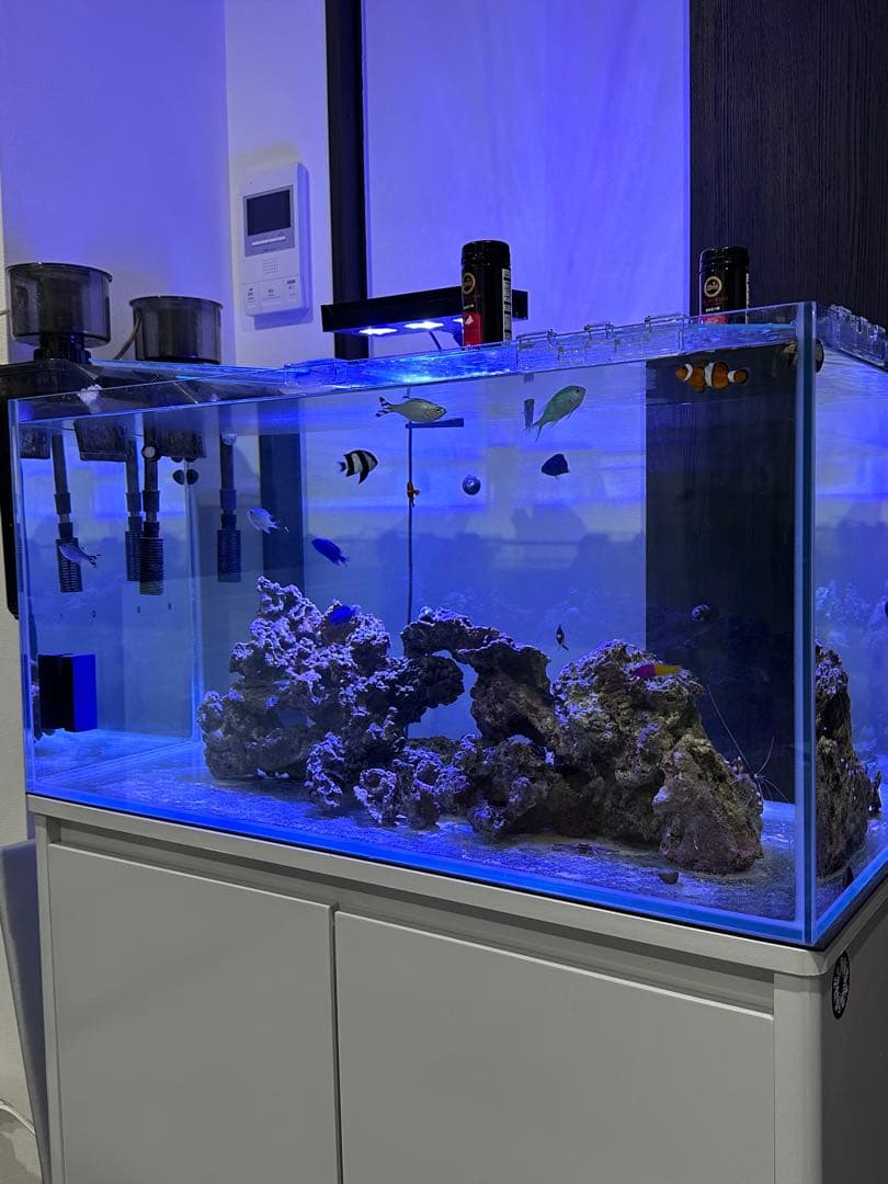 90センチ水槽セット90✖️45✖️45 直接取引可　茨城県水戸市