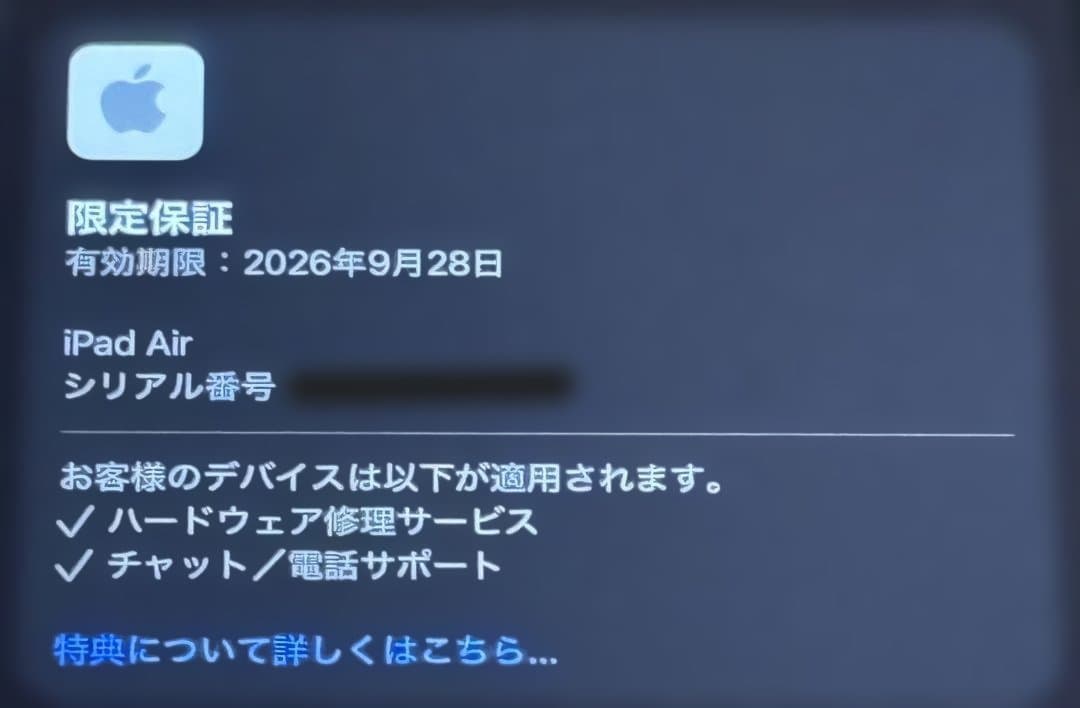 iPad Air (M3) Bule 本体