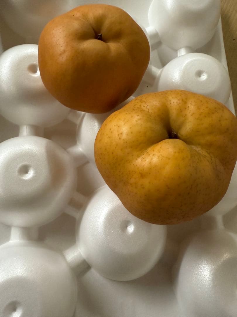 新春セール　梨　愛宕　家庭用　20㎏