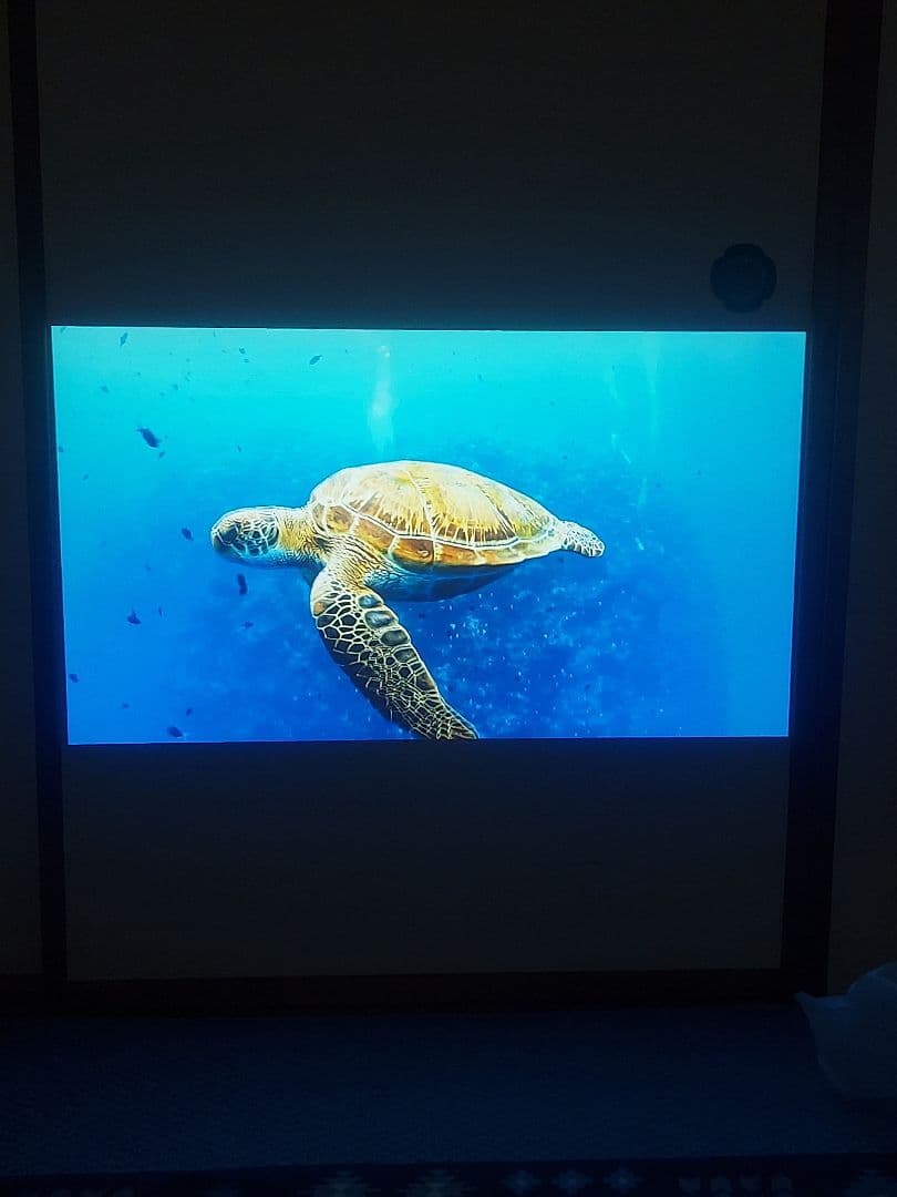 ETOE SEAL PRO　プロジェクター