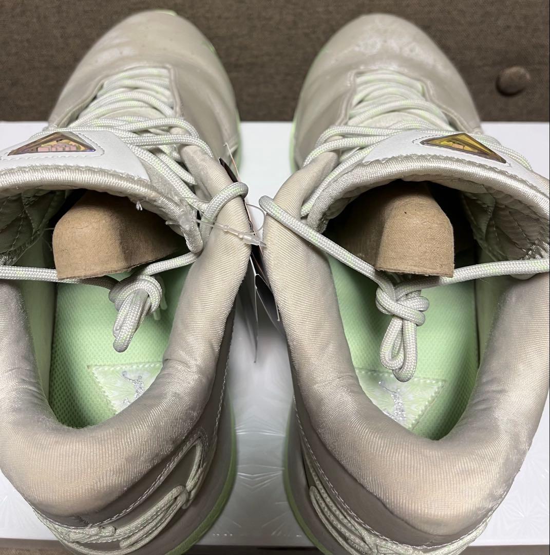 NIKE LEBRON 22 EP ナイキ レブロン 30cm 箱付き