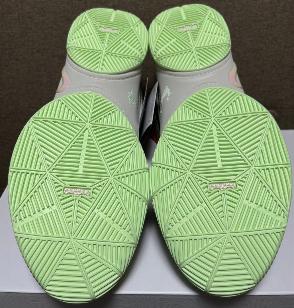 NIKE LEBRON 22 EP ナイキ レブロン 30cm 箱付き