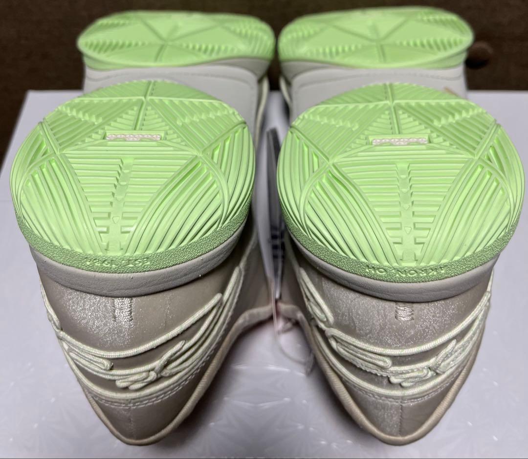 NIKE LEBRON 22 EP ナイキ レブロン 30cm 箱付き