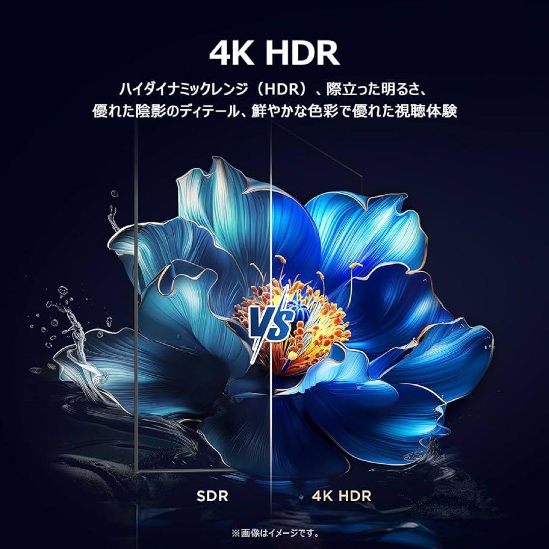 TCL 55V型 4K スマート液晶テレビ Google TV搭載 55P69B