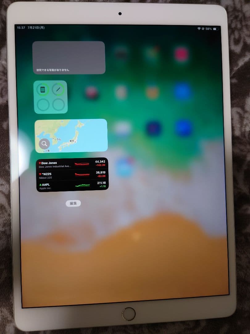 iPad pro10.5 256GB 本体 + Apple Pencil