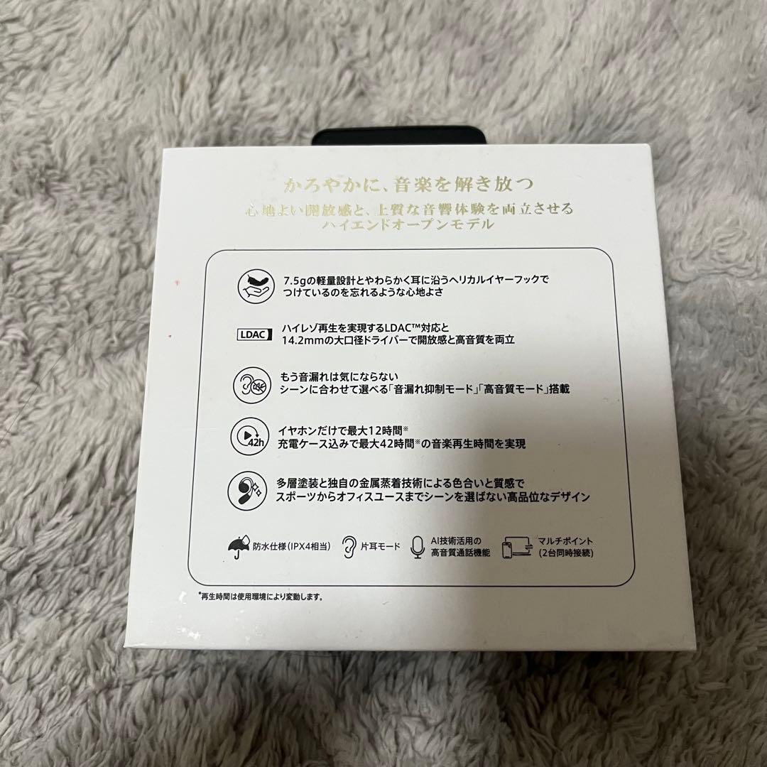 AVIOT Openpiece H TE-H1 ブラック