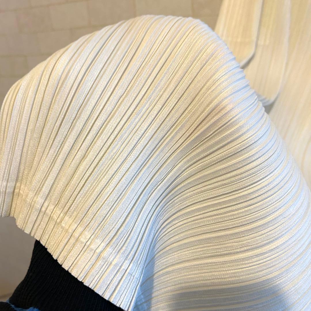 n*a様 PLEATS PLEASE THICKER BOTTOMS no2