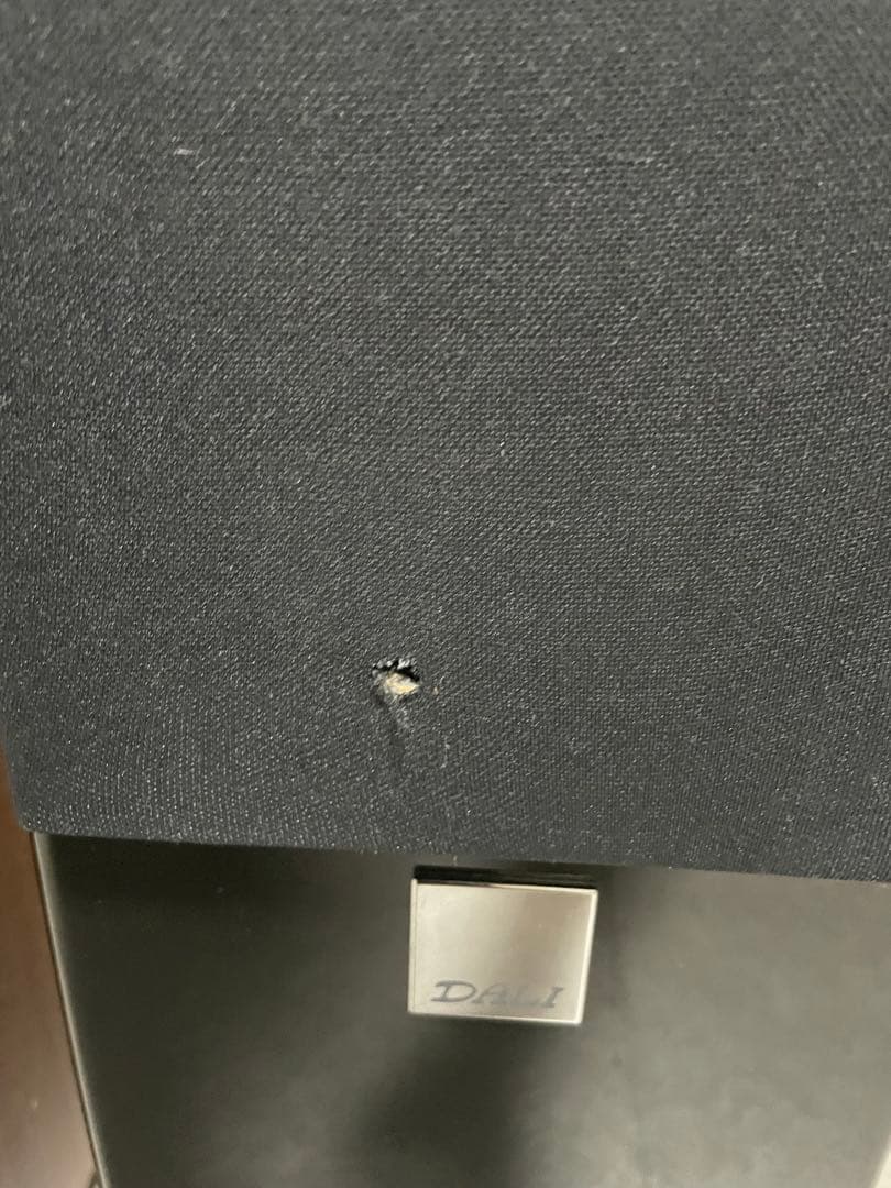 DALI ダリ 2Wayトールボーイ型スピーカー ZENSOR 5