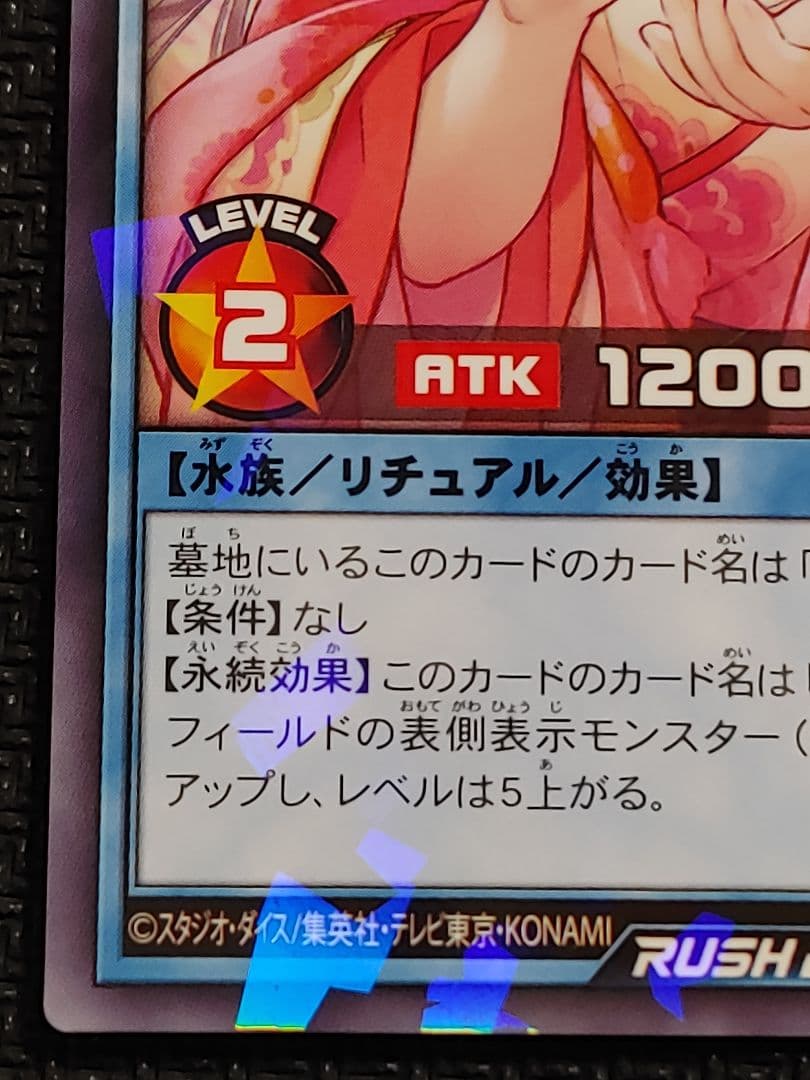 遊戯王ラッシュデュエル なほいとをかしかなひめ　横浜　焼売　シュウマイ