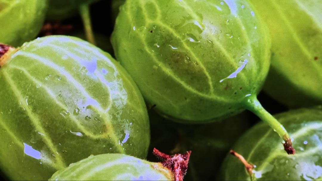 VALERION VisionMaster プロジェクター本体