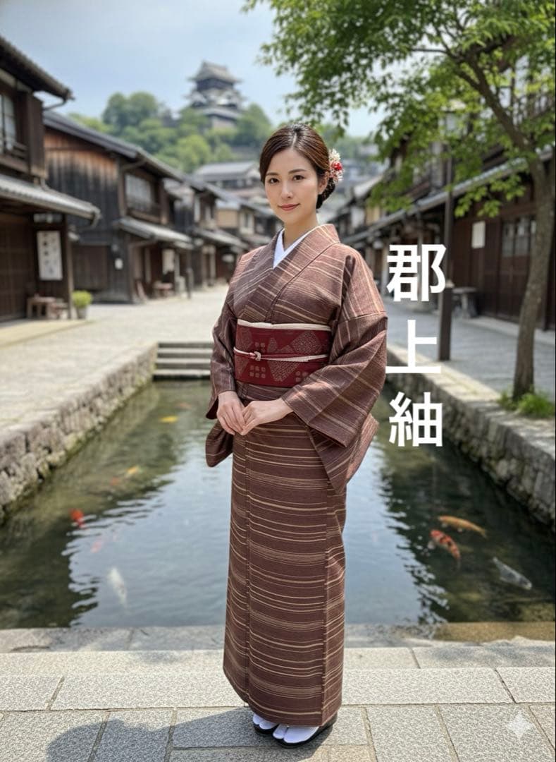 ⭐️早い者勝ち⭐️【国宝品】⭐️岐阜県重要無形文化財⭐️【郡上紬】⭐️手引真綿⭐️紬⭐️着物