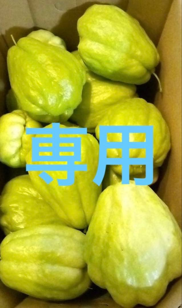 専用　ハヤトウリ　20kg