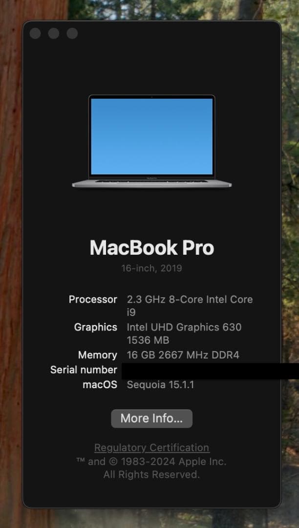 MacBook Pro 16インチ (2019) 8コア 16GB /1TB