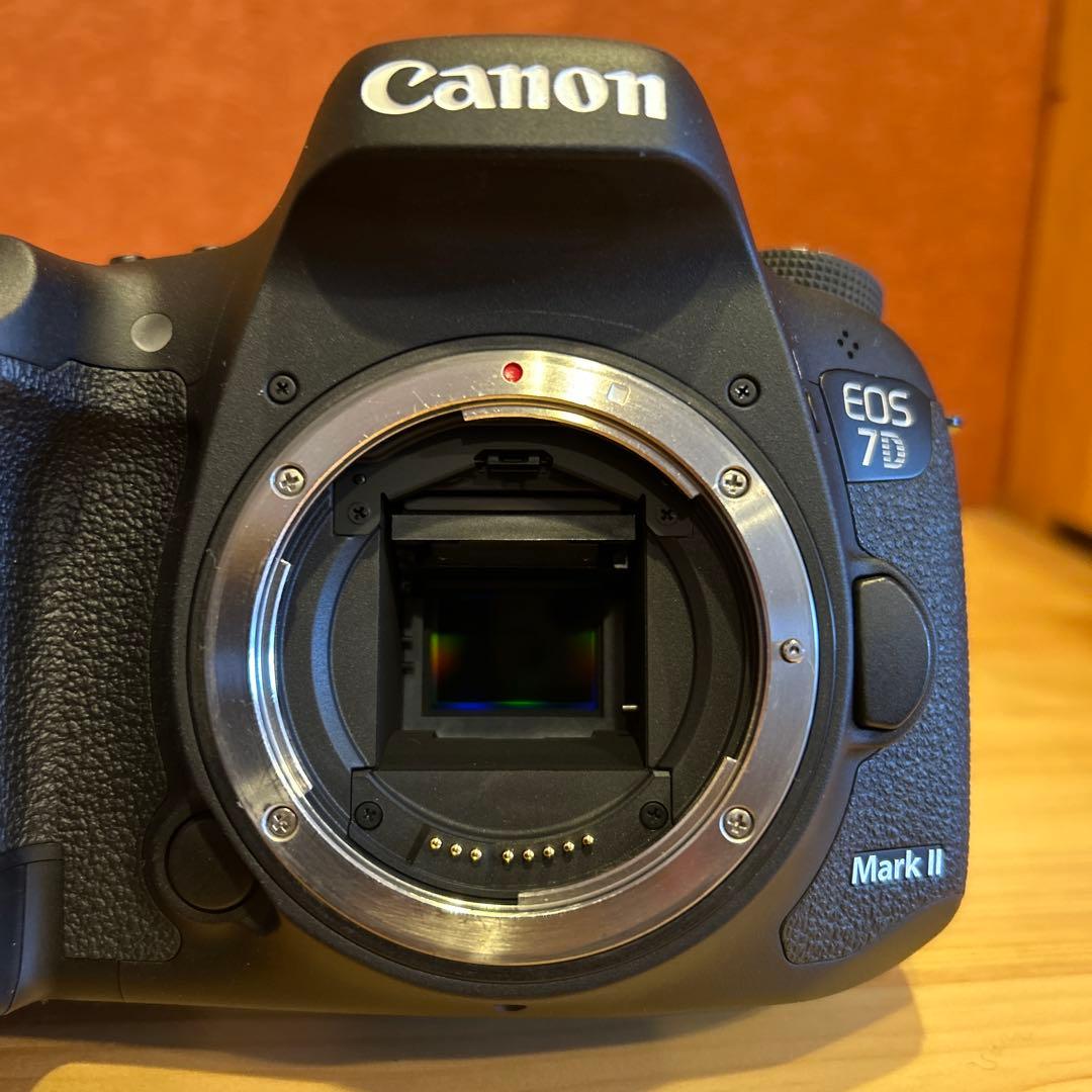 Canon EOS 7d markⅡ ボディ本体　おまけ本付き