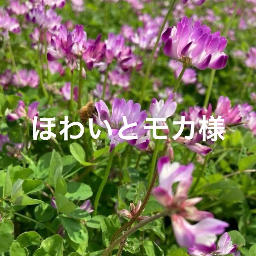 令和6年度 岐阜ハツシモ れんげ特別栽培米