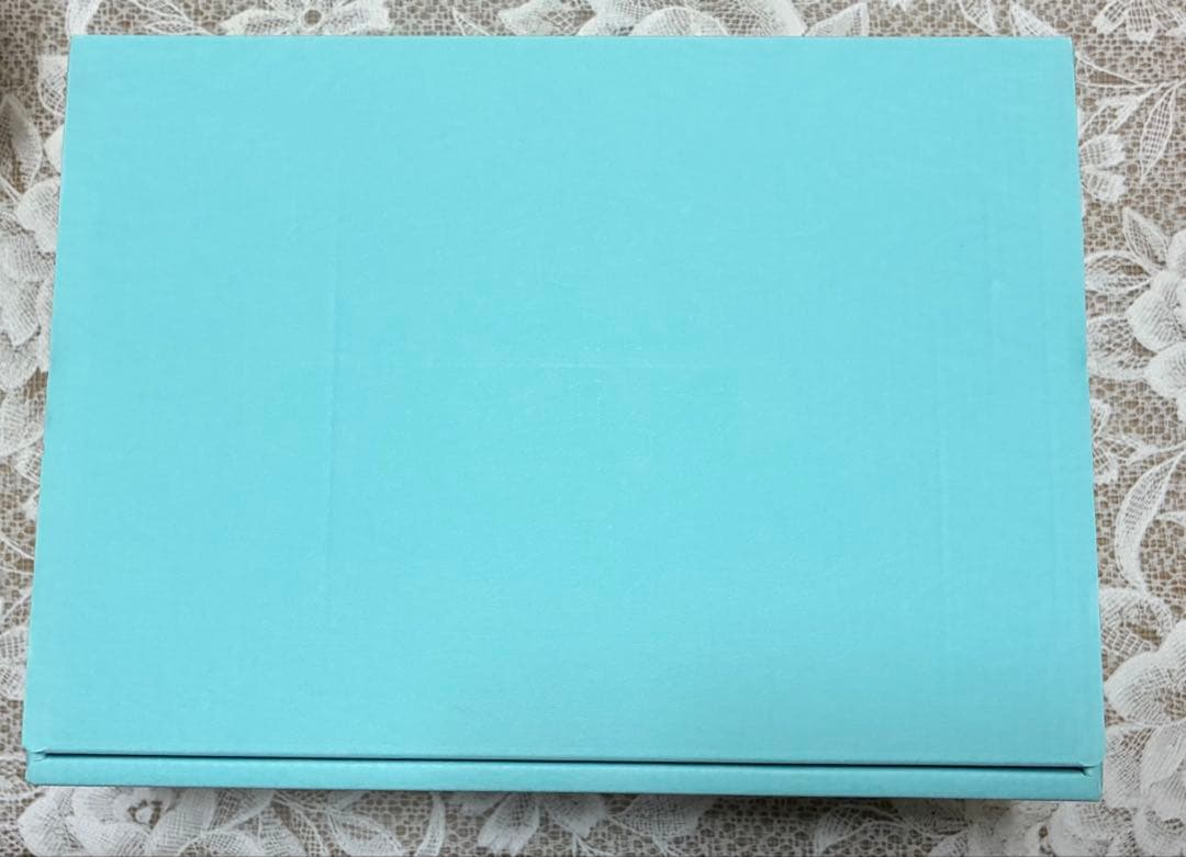 新品！フラックス FLMA17YG 携帯水素生成ポッド マルーンジュニア Jr.