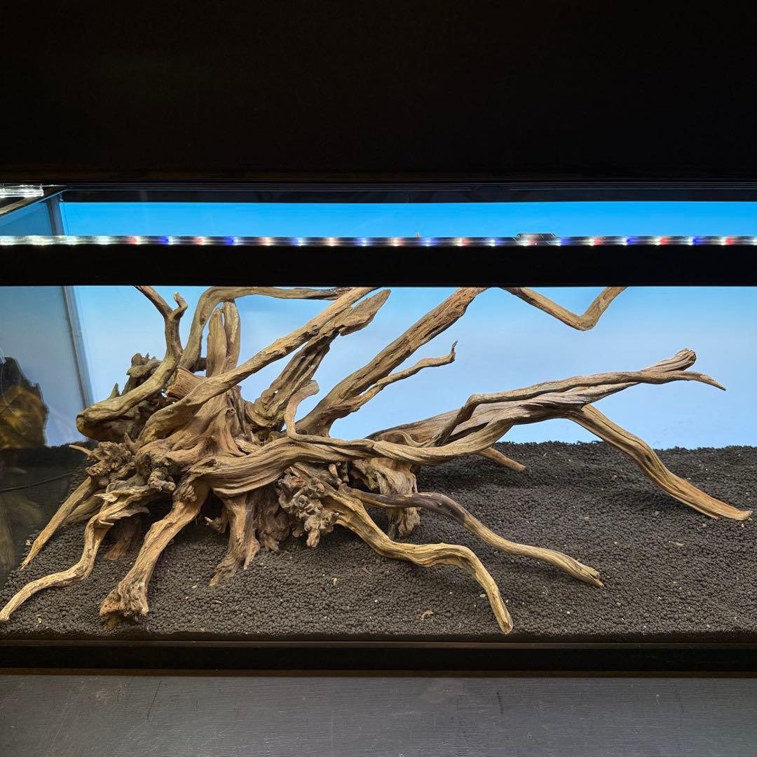 MSRW-6927 天然流木レイアウトセット　スリムウッド　アクアリウム