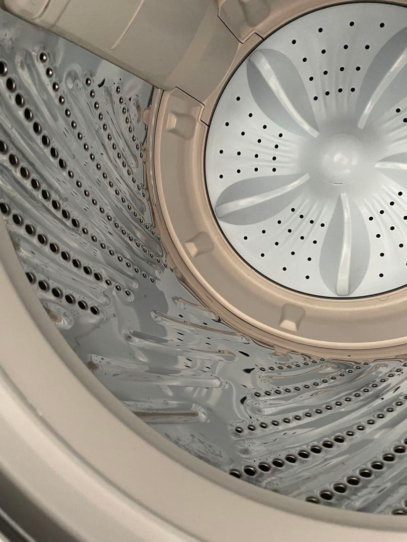 Hisense 洗濯機 HW-K55E 2025年製