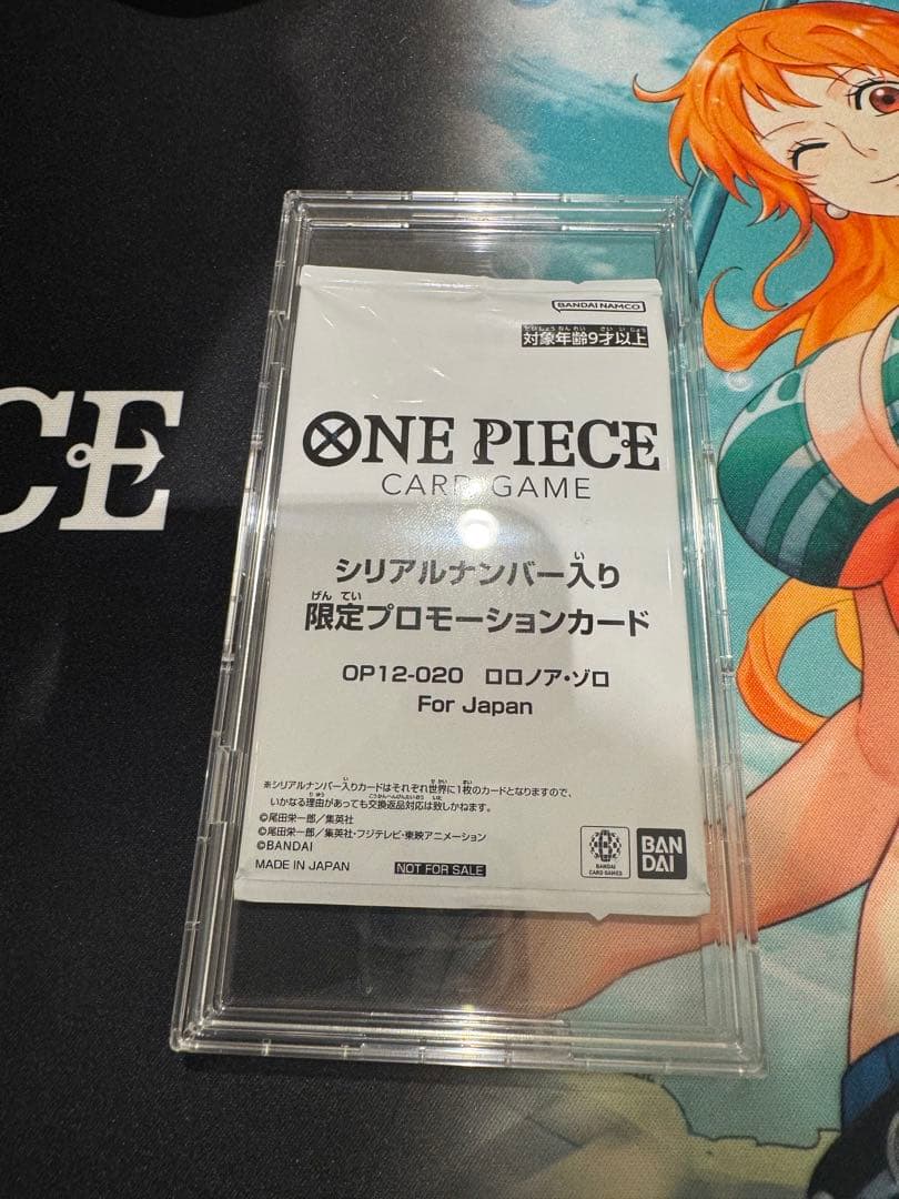 フラグシップ　ロロノア・ゾロ