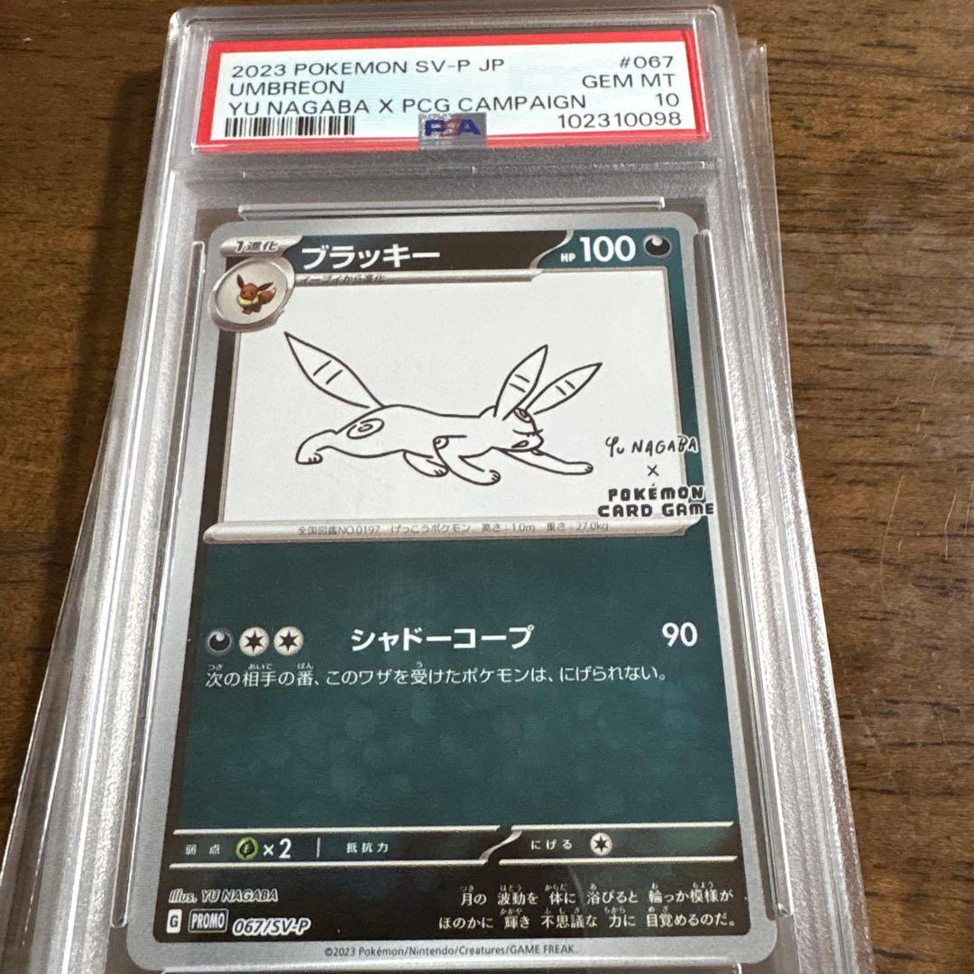 2023 ポケモンカード ブラッキー PSA 10