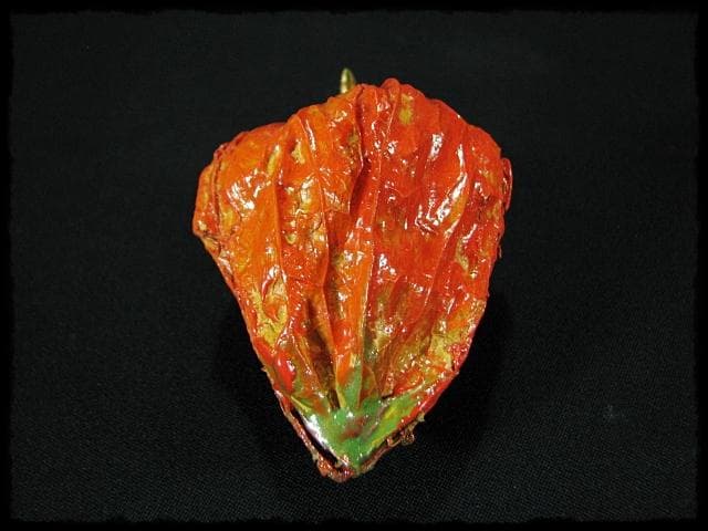 名工 田中 篁秋 鬼灯 ほうづき 宝月 香合 茶道具 e140