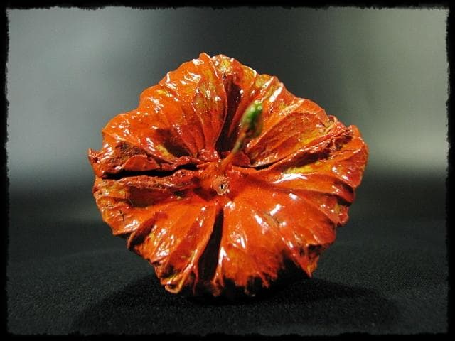 名工 田中 篁秋 鬼灯 ほうづき 宝月 香合 茶道具 e140