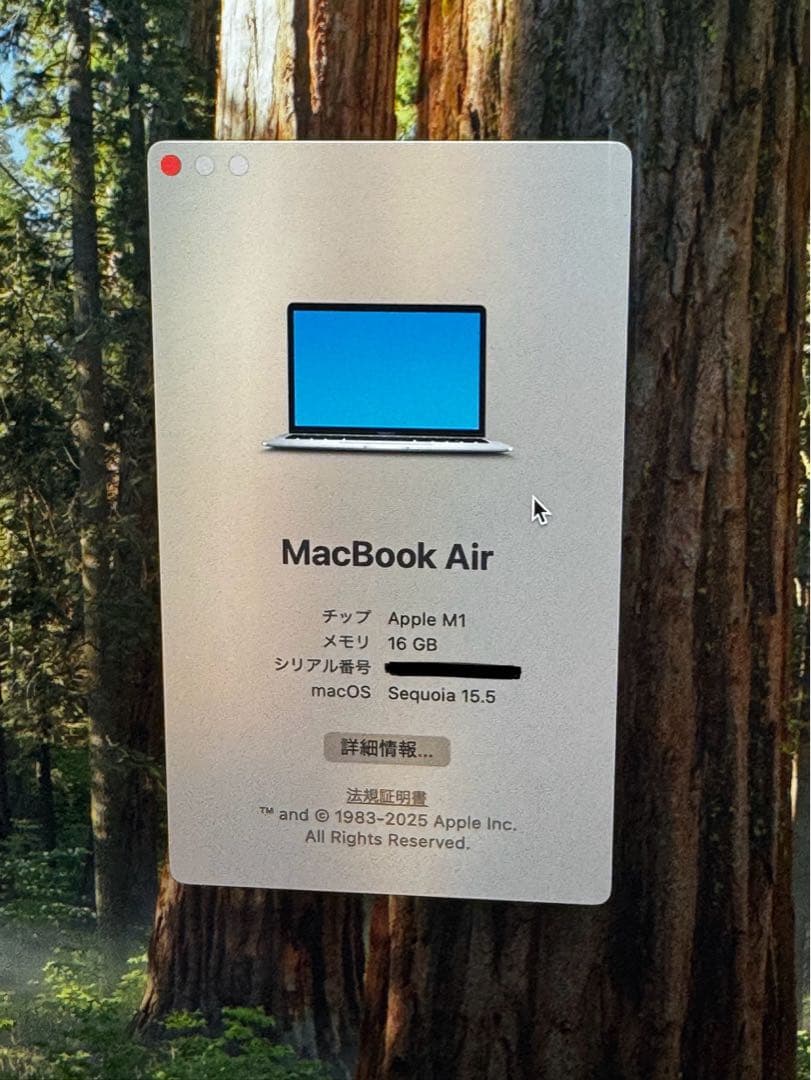 Apple MacBook Air (M1, 2020) 本体 US