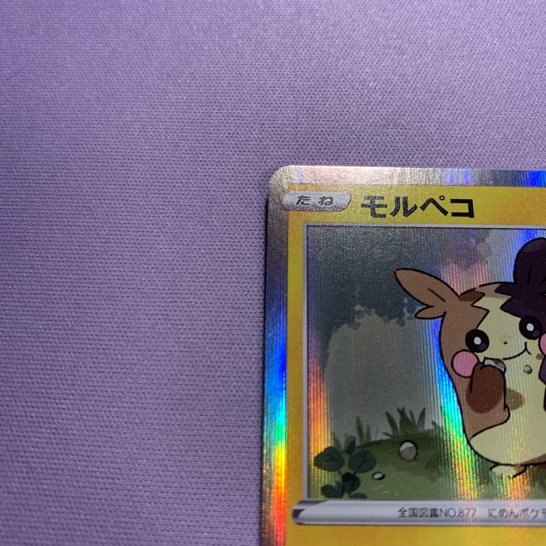 P7185 モルペコ プロモ CL愛知 チャンピオンシップシリーズ2020