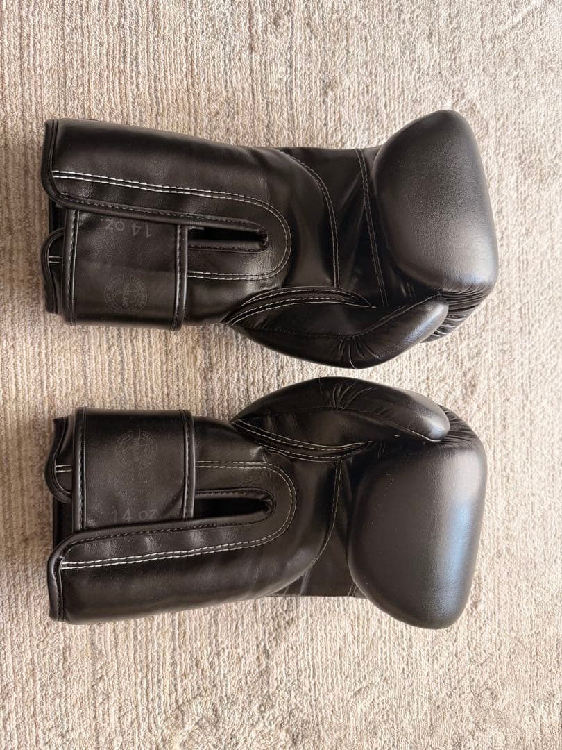 Fairtex ボクシンググローブ 14oz ブラック