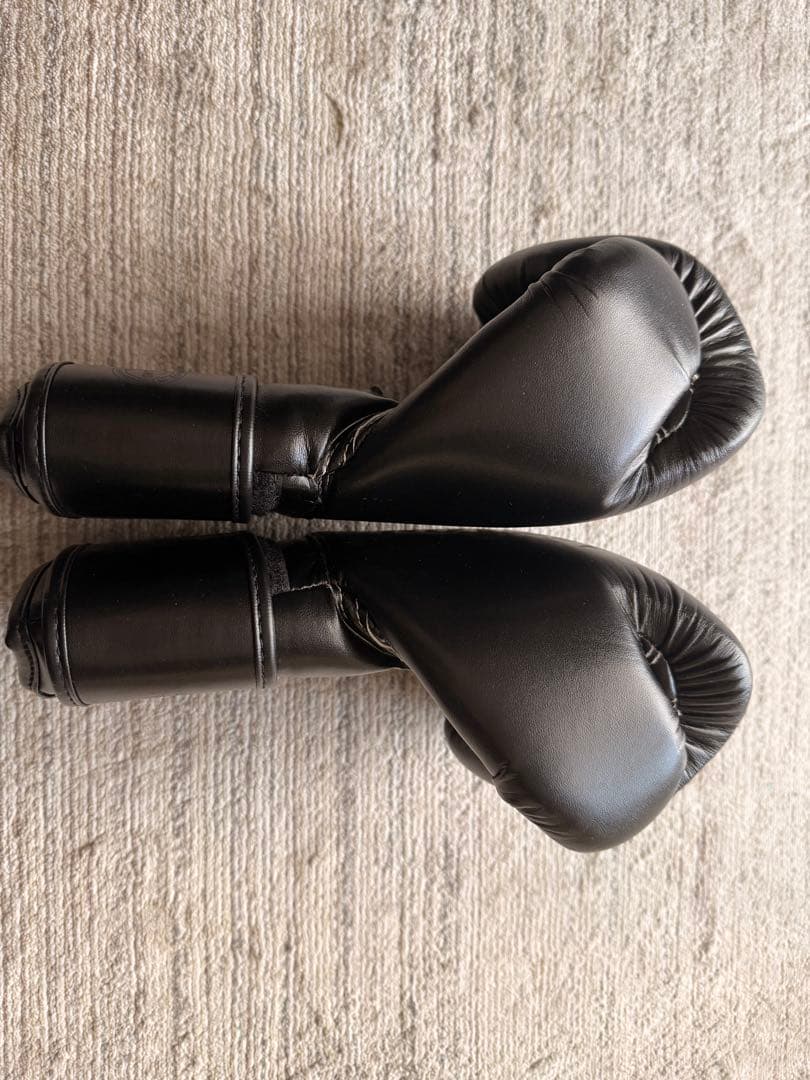 Fairtex ボクシンググローブ 14oz ブラック