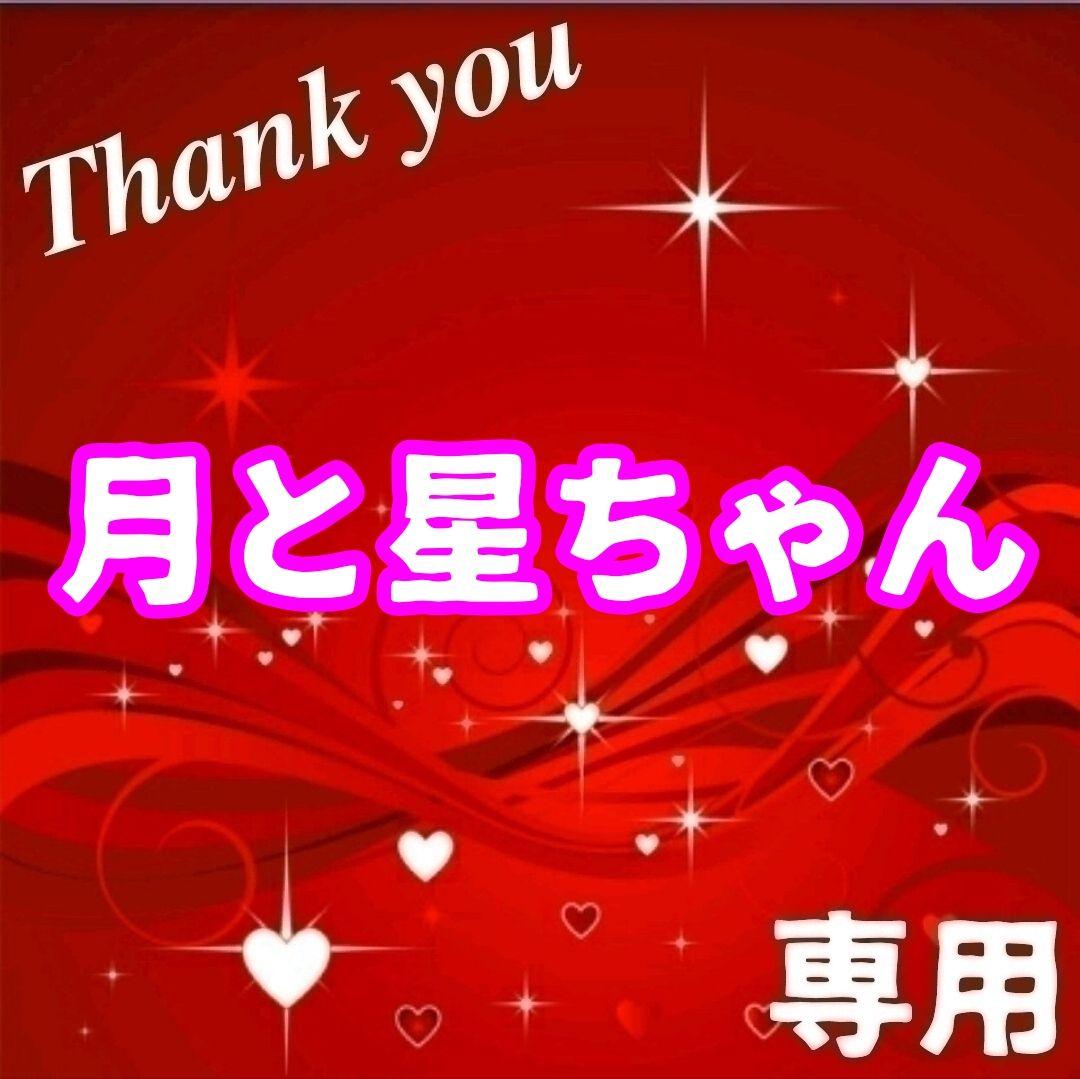 いかせん ティラミスチョコ 焼きチーズ