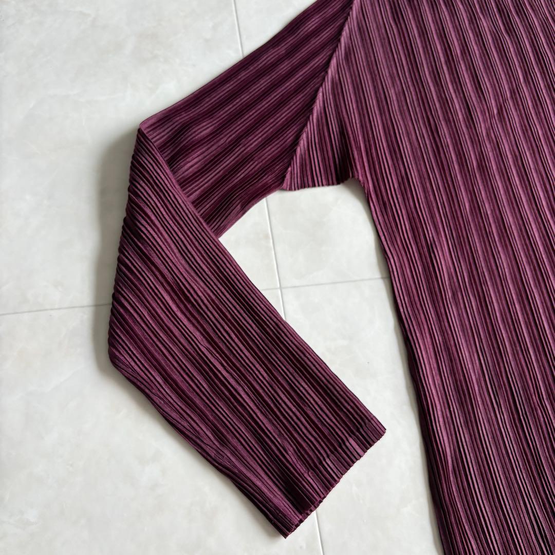 希少色✨ プリーツプリーズ タートル長袖プリーツトップ ワイン 3 日本製 伸縮
