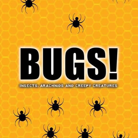 効果音集 （虫の鳴き声）