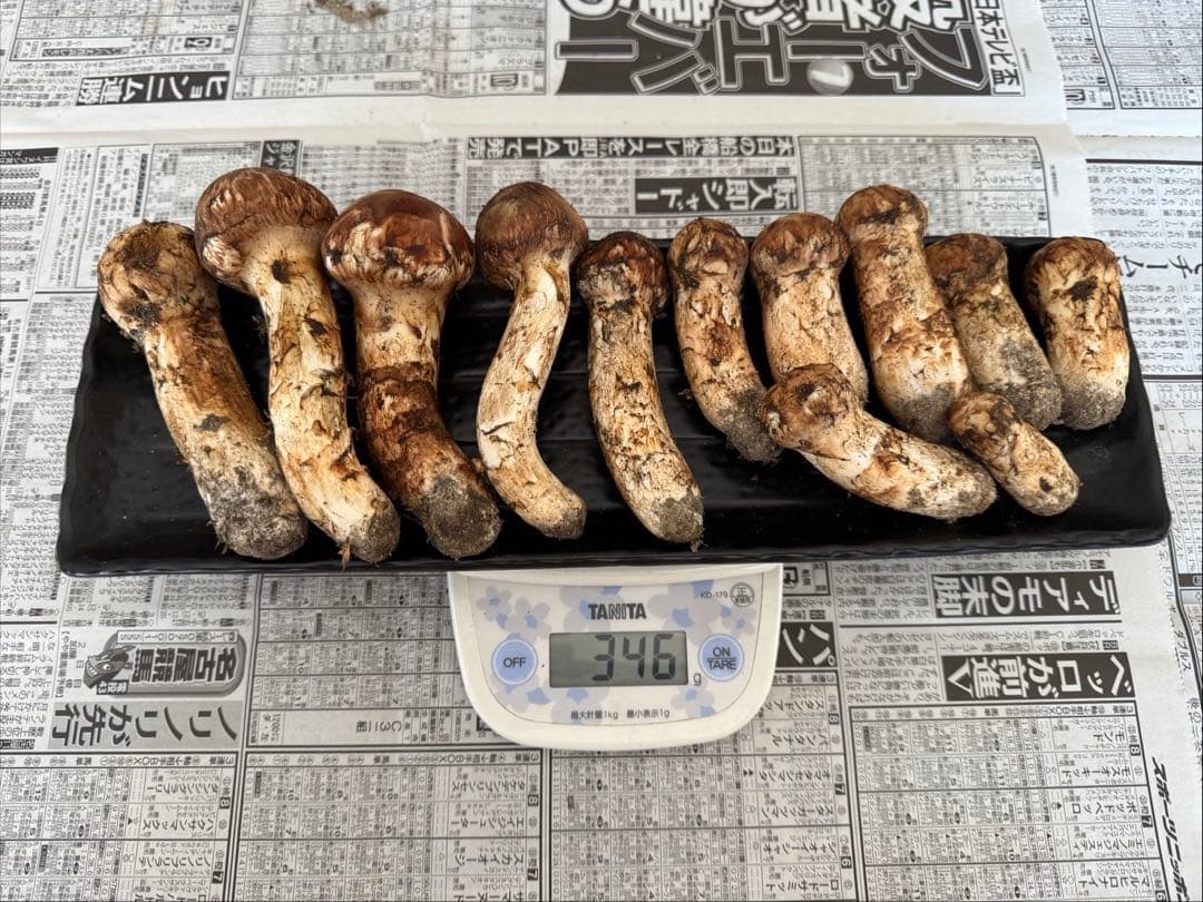 松茸　北海道　300g ① 国産