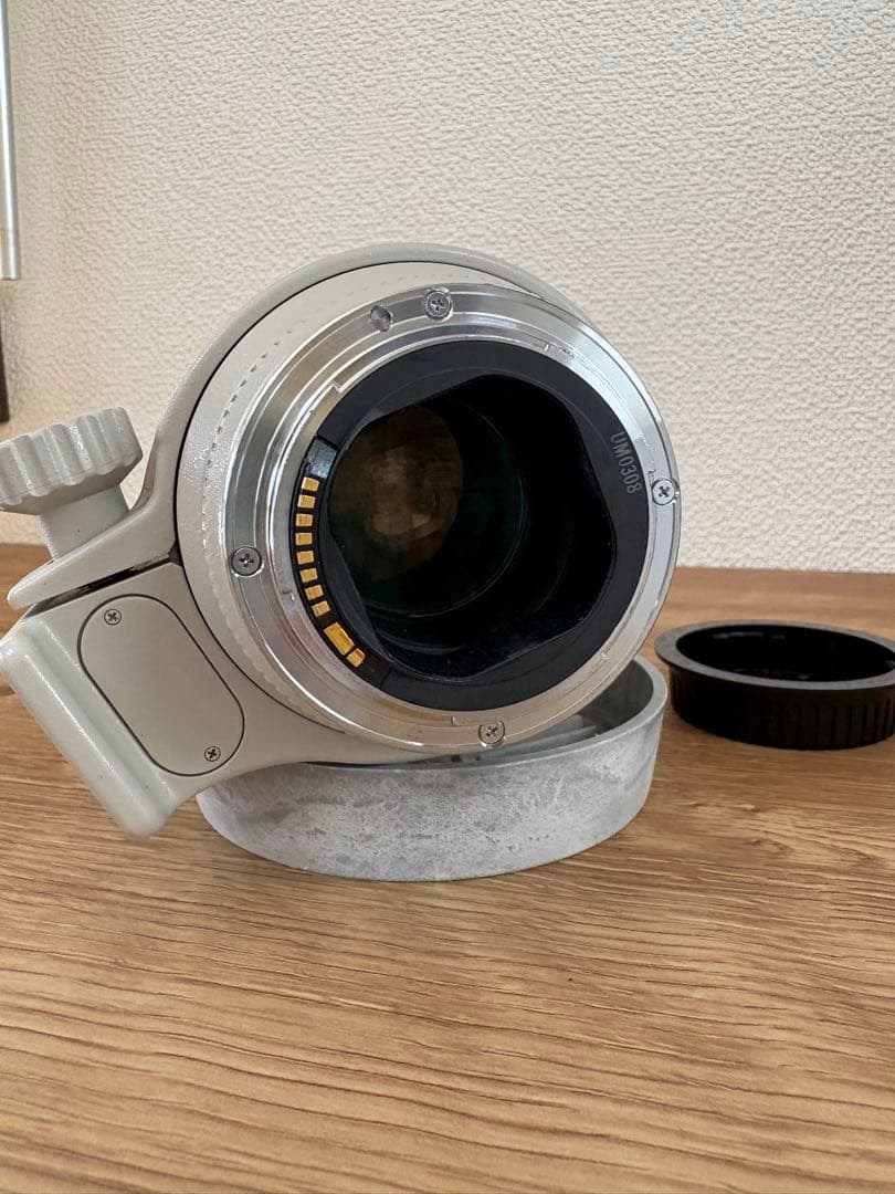 Canon EF 70-200mm f/2.8L USM ✳️年始セール✳️