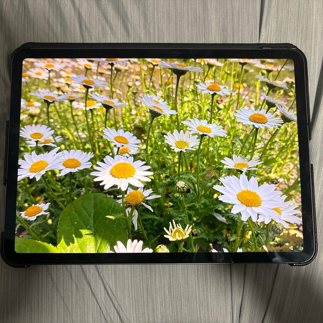 ipadpro11インチ第一世代+apple pencil 第2世代　bt90%